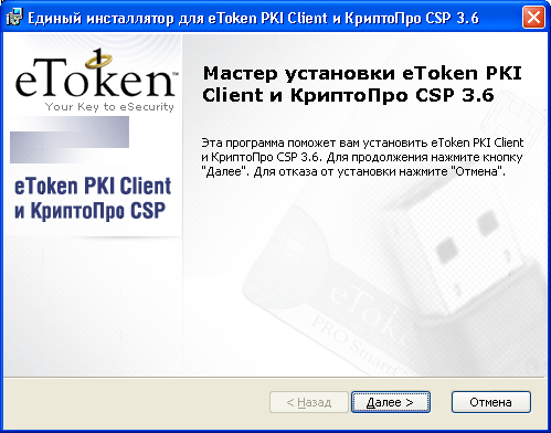 инструкция по установке электронного декларирования